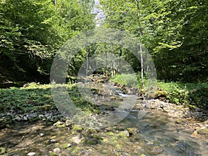 Small mountain river GerovÃÂica, Zamost - Region of Gorski kotar, Croatia / Mala gorska rijeka GerovÃÂica photo